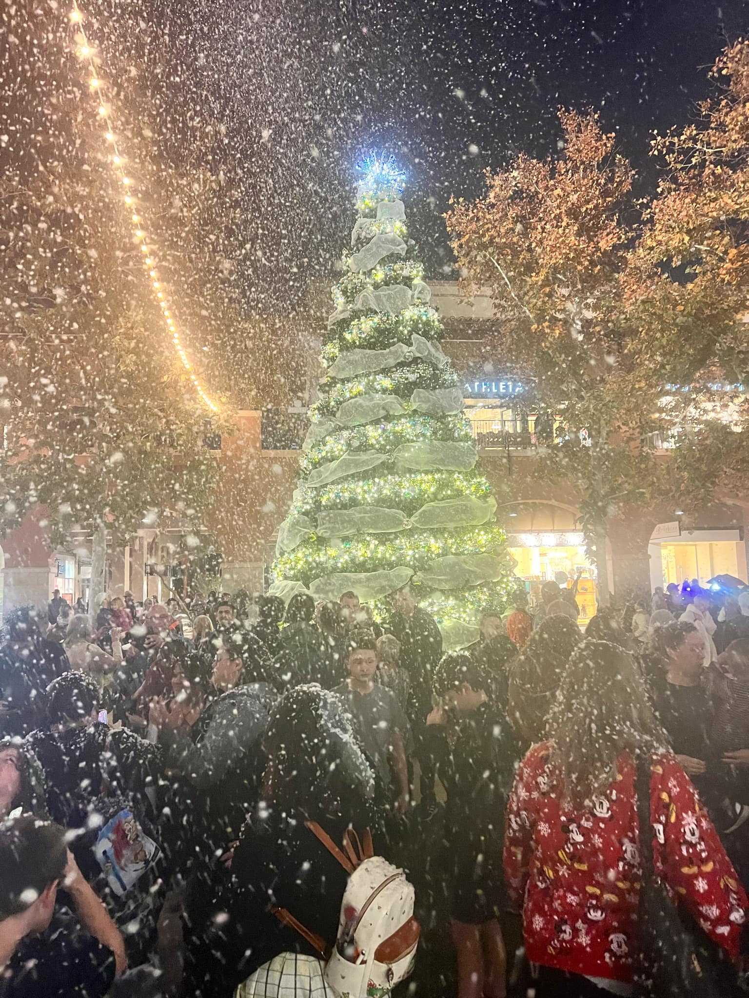 Snowy Events Snowy Events